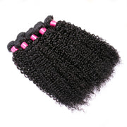 9A Brazilian Kinky Curly 4 Bundles Human Hair Extensions Natural Black 4 pieces/400g/lot Virgin Hair Weft Wiyisa