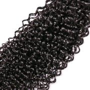 9A Brazilian Kinky Curly 4 Bundles Human Hair Extensions Natural Black 4 pieces/400g/lot Virgin Hair Weft Wiyisa